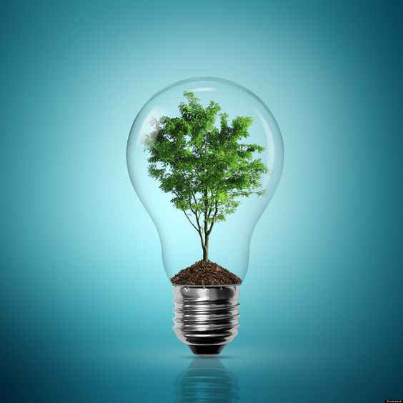 Eco Friendly & Local Artisan 